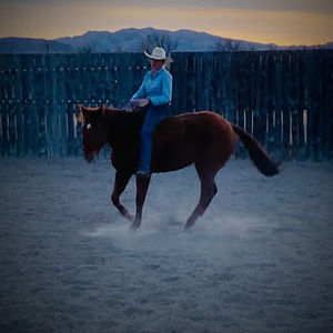 Meet your Posher, Grace